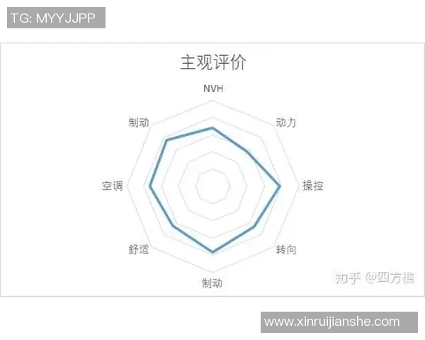 重庆羽毛球队在锦标赛中的技术表现分析与点评