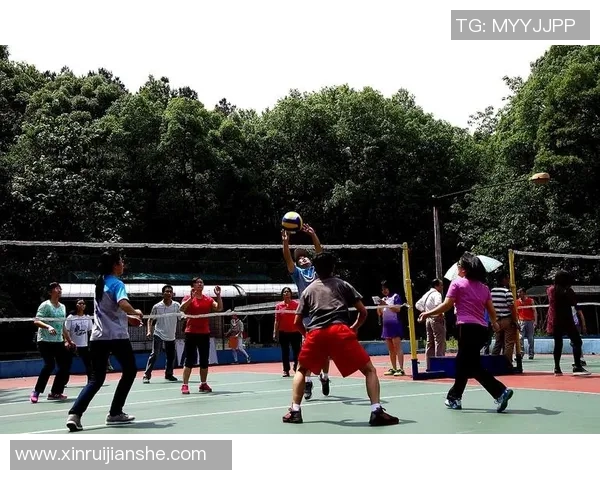 专访杨敏：探寻排球背后的成功秘诀与奋斗历程