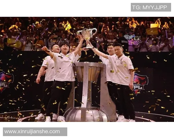 成都排球队的崛起之路精英赛背后的拼搏与荣耀